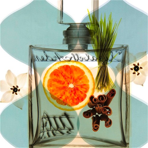 instyle beauty calendar / november: fragrance